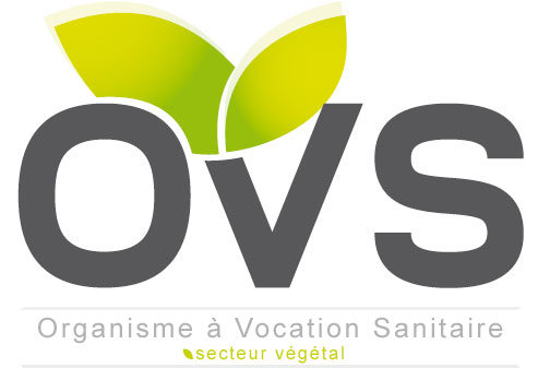 Logo OVS Vgtal